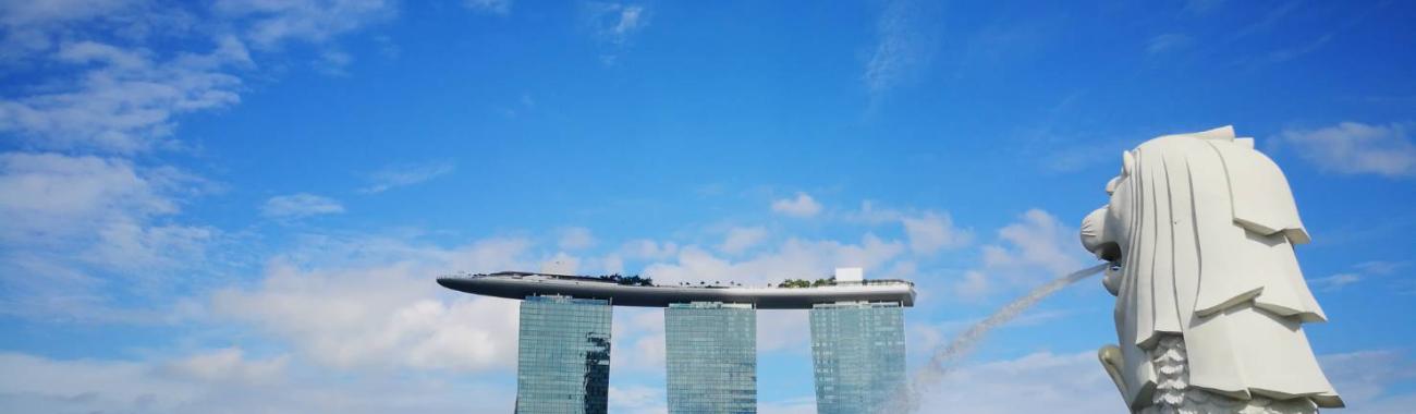 Image of Best places in Singapore in 1 day- Marina Bay, Garden By The Bay, Singapore Flyer and Merlion.