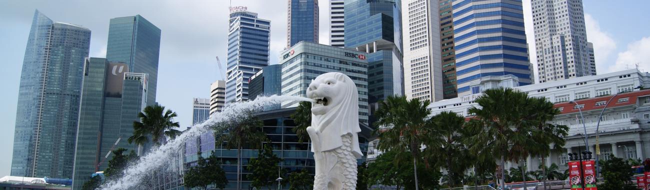 Image of 5 Things to Do When You Visit Singapore