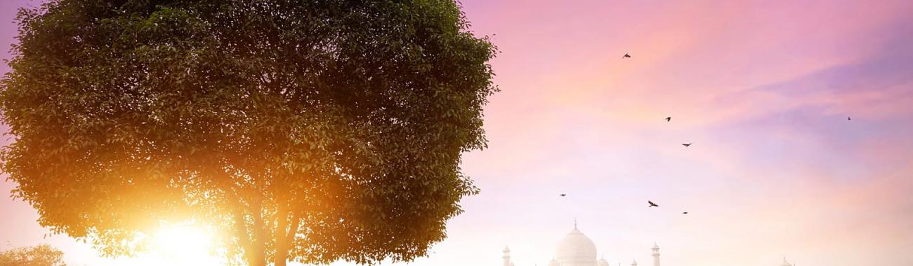 Image of Make a wonderful visit to the heart of Uttar Pradesh Agra 