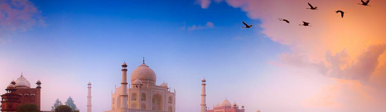 Image of Have the Perfect One Day Taj Mahal Tour