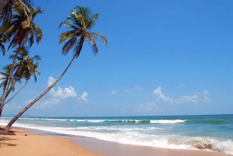 Miramar Beach, North Goa