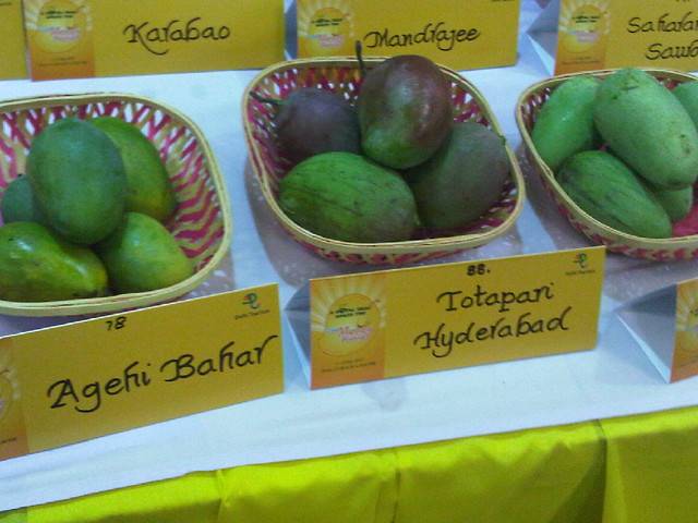 Varieties of Mangos at Delhi Mango Festival