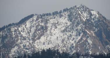 Image of A weekend trip to Shimla (Queen of Hills)